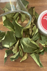 Kaffir lime leaves